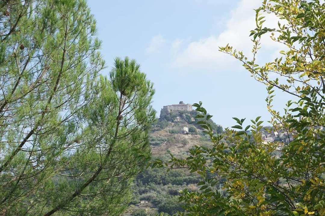 Animosa Suites 카스티글리오네디시칠리아 외부 사진